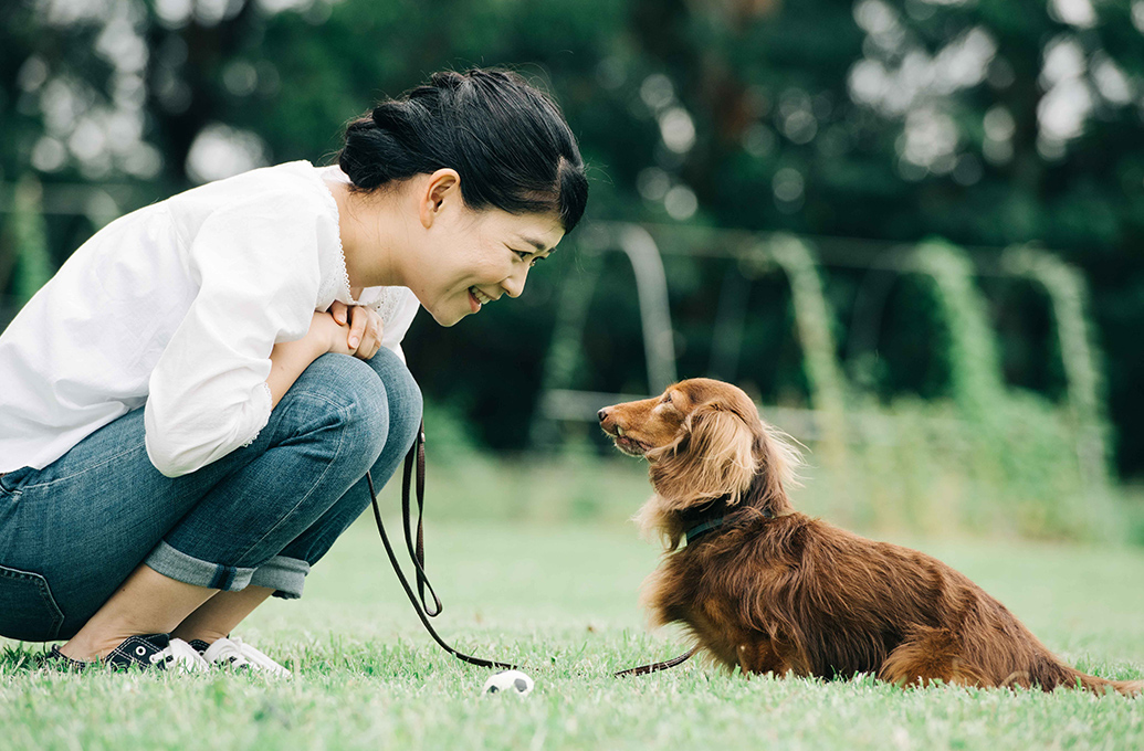 My Buddy with a Tailについて